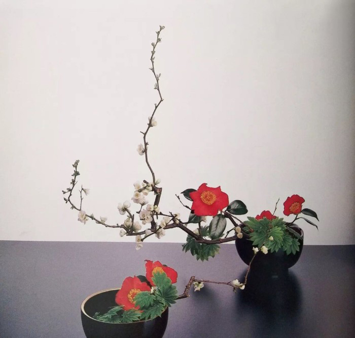 插花師要怎么學(xué)