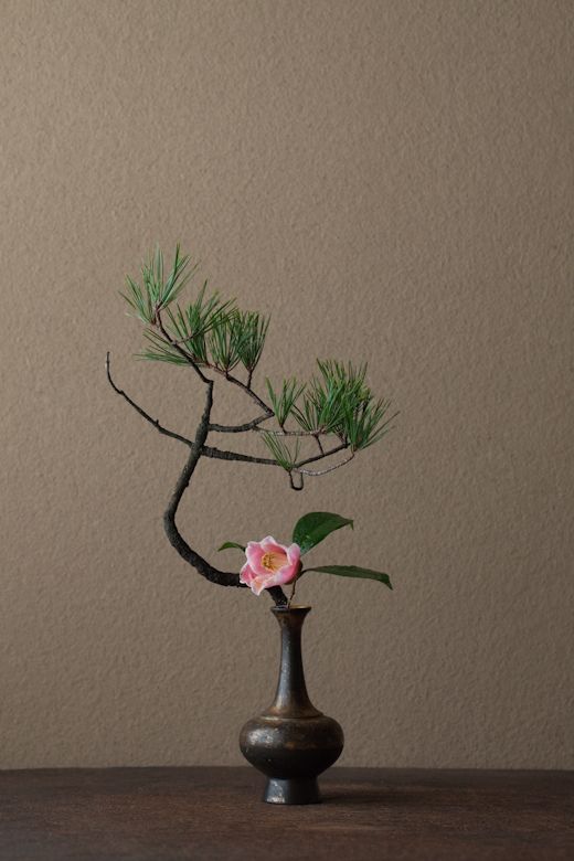 插花師要怎么學
