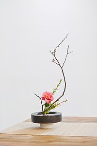 零基礎(chǔ)學(xué)插花多少錢