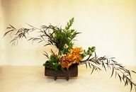 培訓插花師學費多少