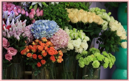 開(kāi)花店學(xué)插花培訓(xùn)班的學(xué)費(fèi)多少錢(qián)一般如何了解選擇