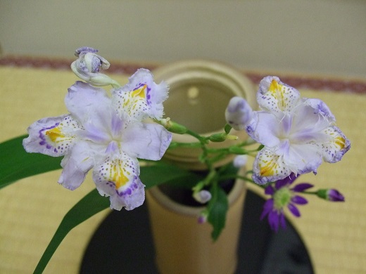 中國傳統(tǒng)插花藝術(shù)-茶幾茶道插花花藝