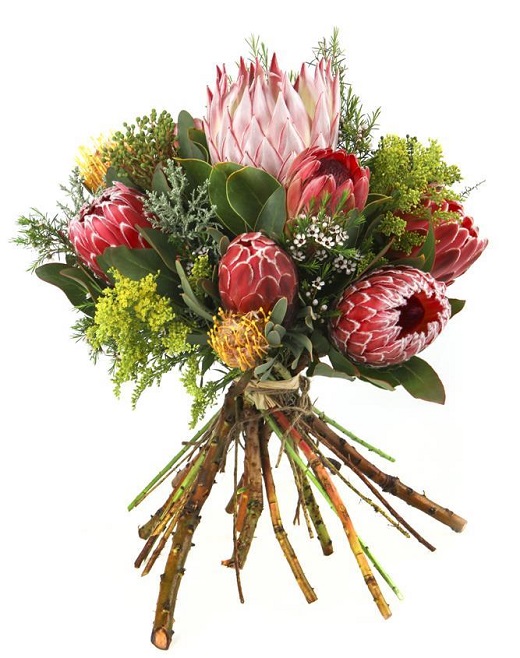 想學(xué)習(xí)花藝插花-怎么插花學(xué)習(xí)的插花大全